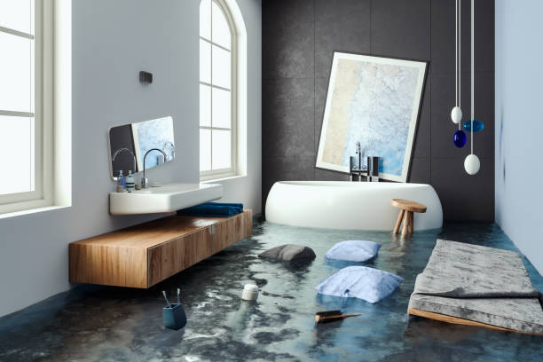 Best Water damage contractors near me  in Pleasanton, KS