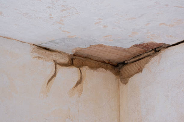 Best Professional water damage repair  in Pleasanton, KS