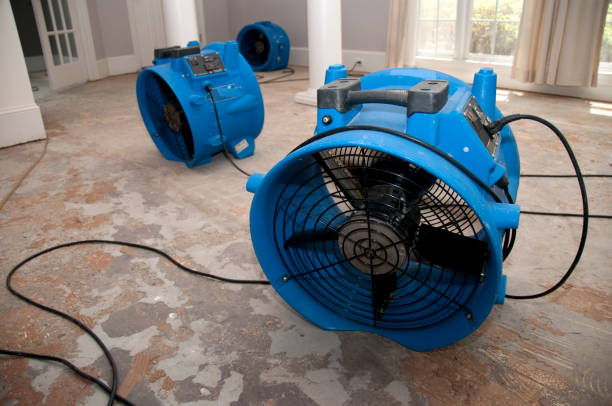 Best Residential water damage restoration  in Pleasanton, KS