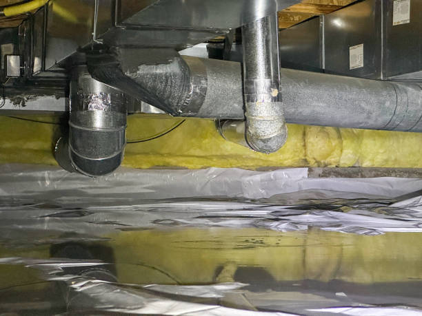 Best Mold removal after water damage  in Pleasanton, KS