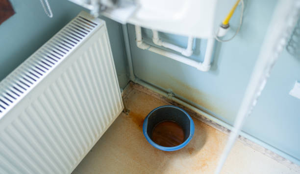 Best Flooded house restoration  in Pleasanton, KS