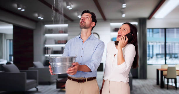 Best Ceiling water damage repair  in Pleasanton, KS